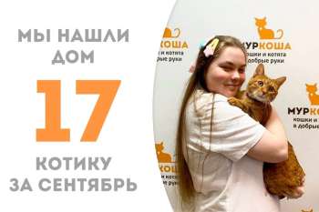 Полтора месяца понадобилось Густаву, чтобы стать домашним!