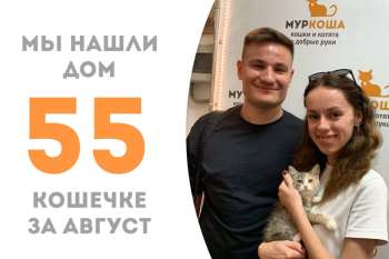 Всего лишь месяц с хвостиком понадобился семье Ильинки, чтобы её найти!
