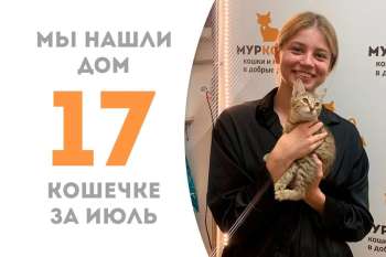 Меньше недели понадобилось Интраде, чтобы стать домашней!