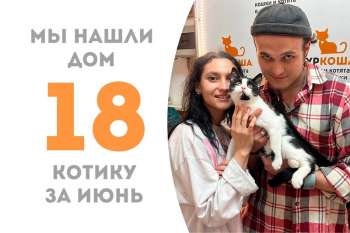 Умняшка Инженер отправился домой, пробыл в приюте чуть больше двух месяцев!