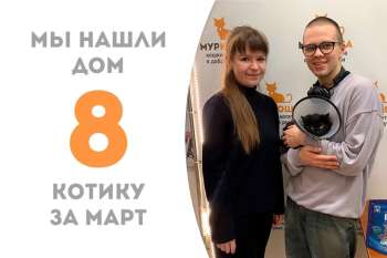 Иванчик нашел свою семью всего за пару месяцев!