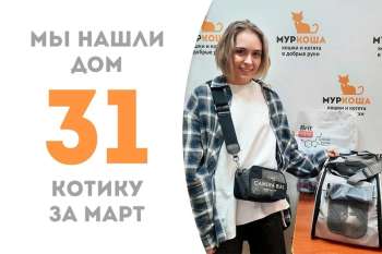 Каламбур становится счастливчиком!