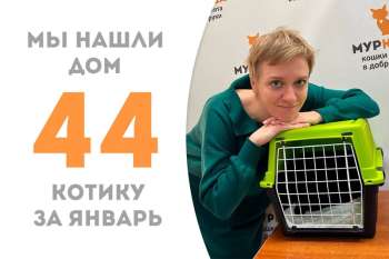 ​​​​​​​Удивительный Калимер отправился домой спустя 2 месяца!