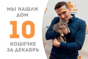 Чувственная Калина обрела дом за 2 месяца!