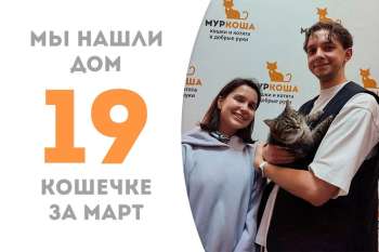 Всего 3 с половиной месяца прошло, а Караська уже поймала удачу за хвост и уезжает домой!