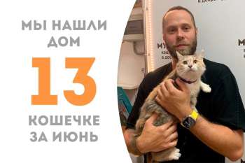 Всего 3 месяца провела у нас прекрасная Катик, и уже успела встретить своего человека!
