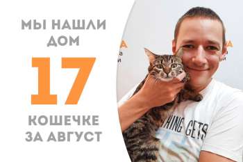 Прекрасная Хейли обрела дом!