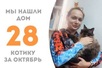 Распушистейший Ховарт стал домашним!