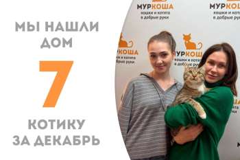 Два месяца понадобилось Хвалиславу, чтобы стать домашним!