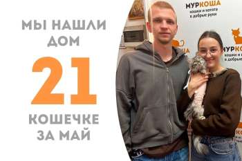 Меньше чем за 2 месяца Клубничка обретает семью и уезжает в сладкую домашнюю жизнь!