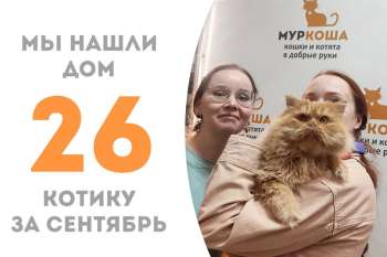 Брутальный Коллин уезжает домой, где его уже ждут Ромка, Техас и Райя!