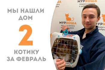 Румяный Колобочек укатил домой жить-поживать да добра наживать!