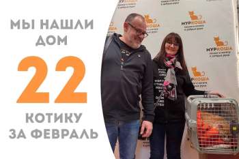 Чуть больше трех месяцев понадобилось Коловрату, чтобы обрести семью!