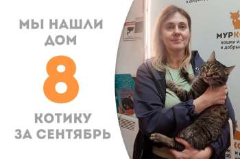 Милый котик, ласковый Кротик, уехал домой!