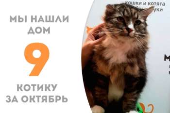 Всеми любимый Курт обрел семью!