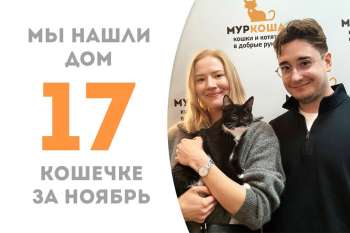 Игривая Лабубу нашла любящие ручки!