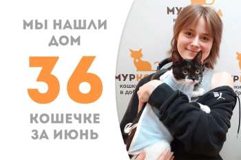 Меньше трех месяцев провела у нас Лапотуся и успела встретить свою добрую хозяйку!