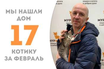 Капелюшку Лемонграсса нашла его семья меньше чем за месяц!