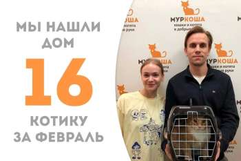 Солнечный Леонайд, не успев опомниться, уезжает домой!
