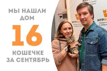 Очаровашка Лиланд обрела свою семью всего лишь за неполный месяц!