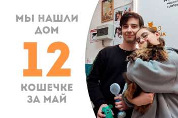 Прекрасная Лонси становится счастливицей!