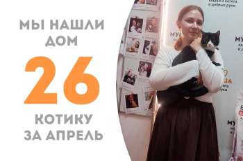 Лонжерон становится домашним!