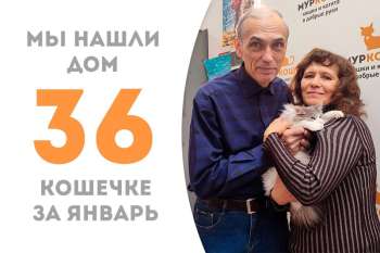 Сладчайшая Мацони всего лишь месяц ждала своих родителей!