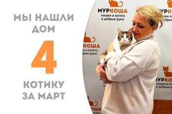 Марлин отправляется домой!