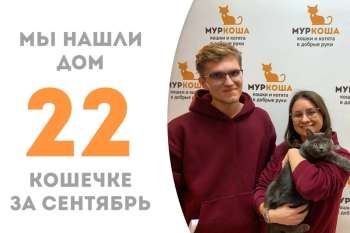 Дымчатая кошка Марусик стала домашней!