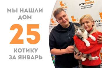 Микелон вновь обретает дом!
