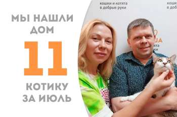 Немногим меньше трех месяцев понадобилось Милфорду, чтобы вновь стать домашним!