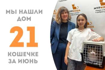 Солнышко Милоуз обрела семью!