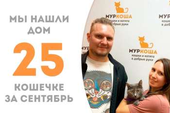 Очередная выпускница приюта кошечка Мимикрия обрела свое счастье!