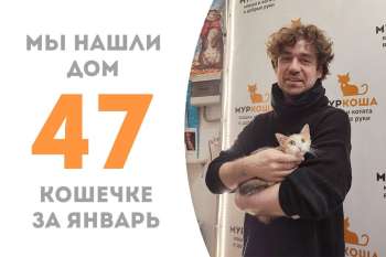 Нежнюлька-красотулька Мириам закрывает парад январских счастливчиков!