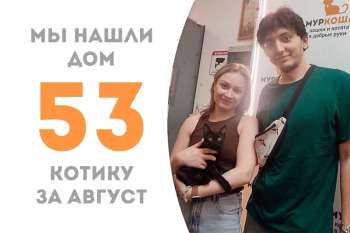Мироша становится домашним счастливчиком спустя месяц!