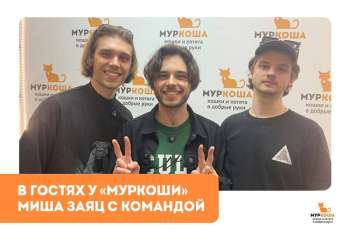 Гости "Муркоши". Миша Заяц с командой