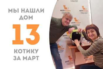Невероятный Мист стал нашим счастливчиком-выпускником!