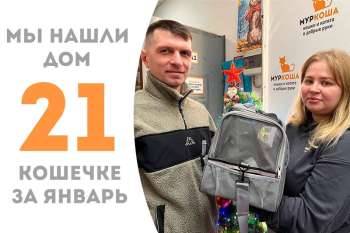 Расписная красавица Молекула стала домашней любимицей!