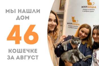 Кошечка Мося обрела свой новый дом!