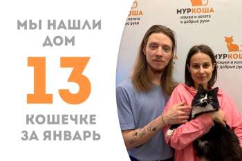 Муранесса уезжает домой к нашей выпускнице Симбе!