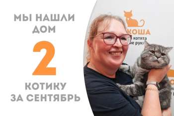 Мурсий становится домашним!