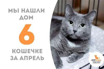 Мусьена отправляется домой спустя три месяца пребывания в приюте!