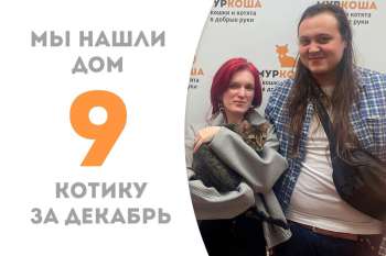 Всего лишь один день понадобился Нептунчику, чтобы обрести семью!