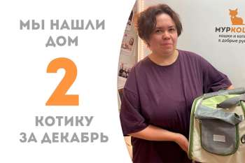 Магнетический Незнайка обрел дом за 1 месяц!