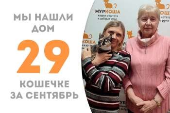 Уютный дом сегодня встречает выпускницу Нимберу!