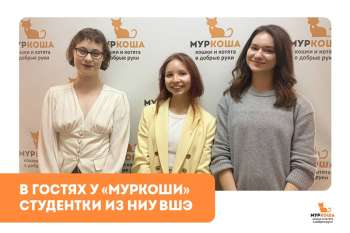 Гости "Муркоши". Студентки из НИУ ВШЭ