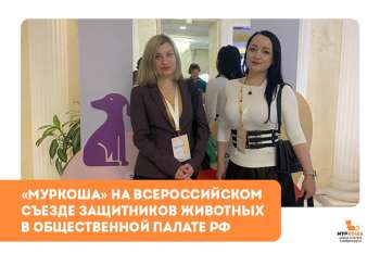 «Муркоша» на Всероссийском съезде защитников животных в Общественной палате РФ