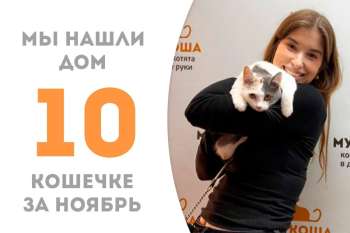 Космическая Орбита обрела дом за 2 месяца!