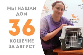 Пандочка становится счастливицей!