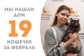 Жизнь расписной Панорамки засияла всеми красками!